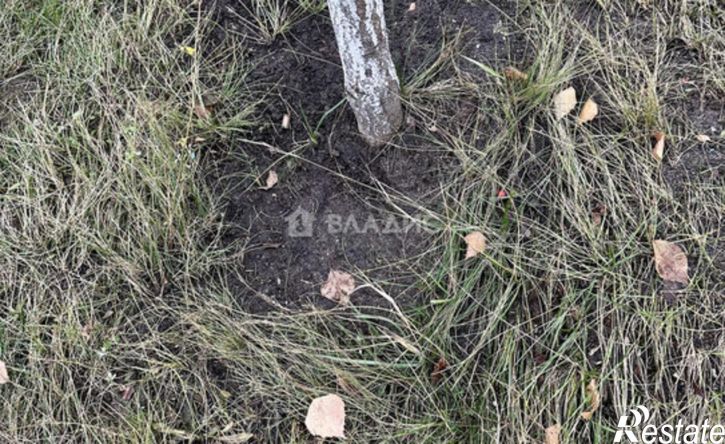 1-комн квартира ул Бакунина, 137,  д. 137