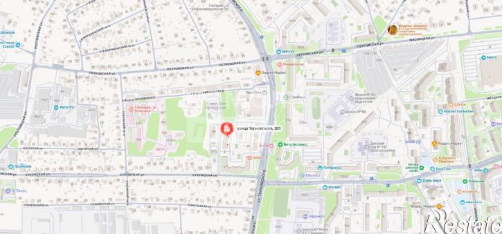 1-комн квартира ул Терновского, 203,  д. 203