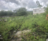 земля 6 сот садовое дачное товарищество Север