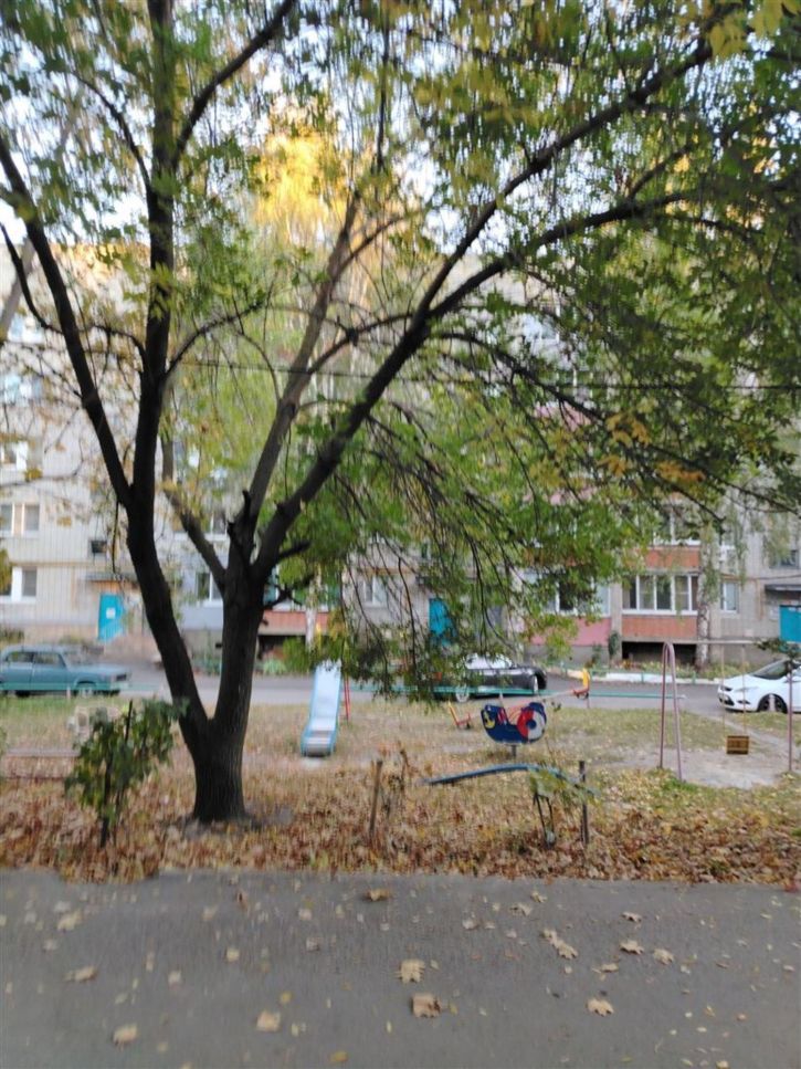 1-комн квартира ул Карпинского, д. 46