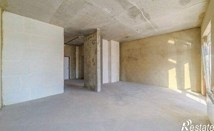 4-комн квартира ул Бородина, 43,  д. 43