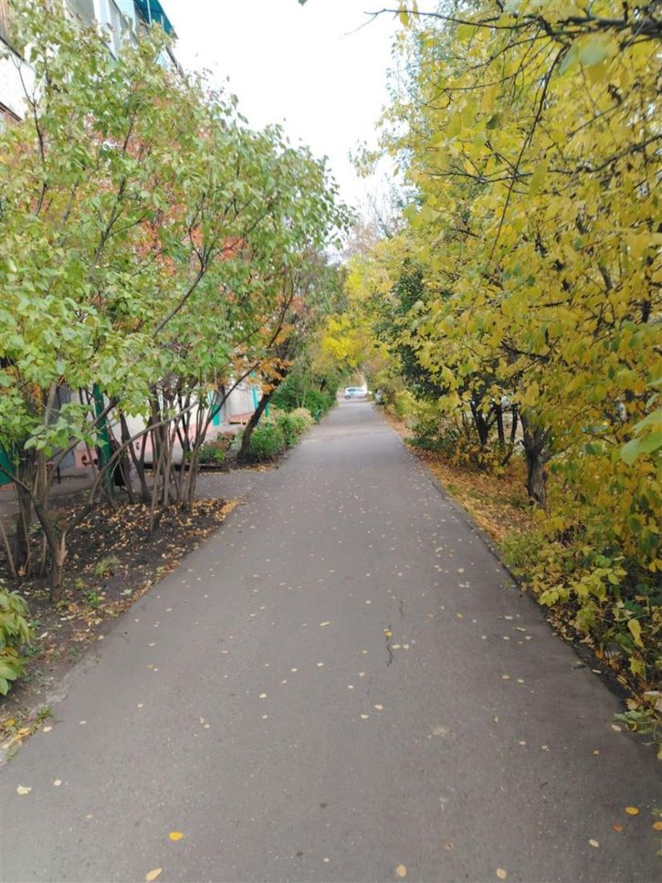 1-комн квартира ул Карпинского, д. 46