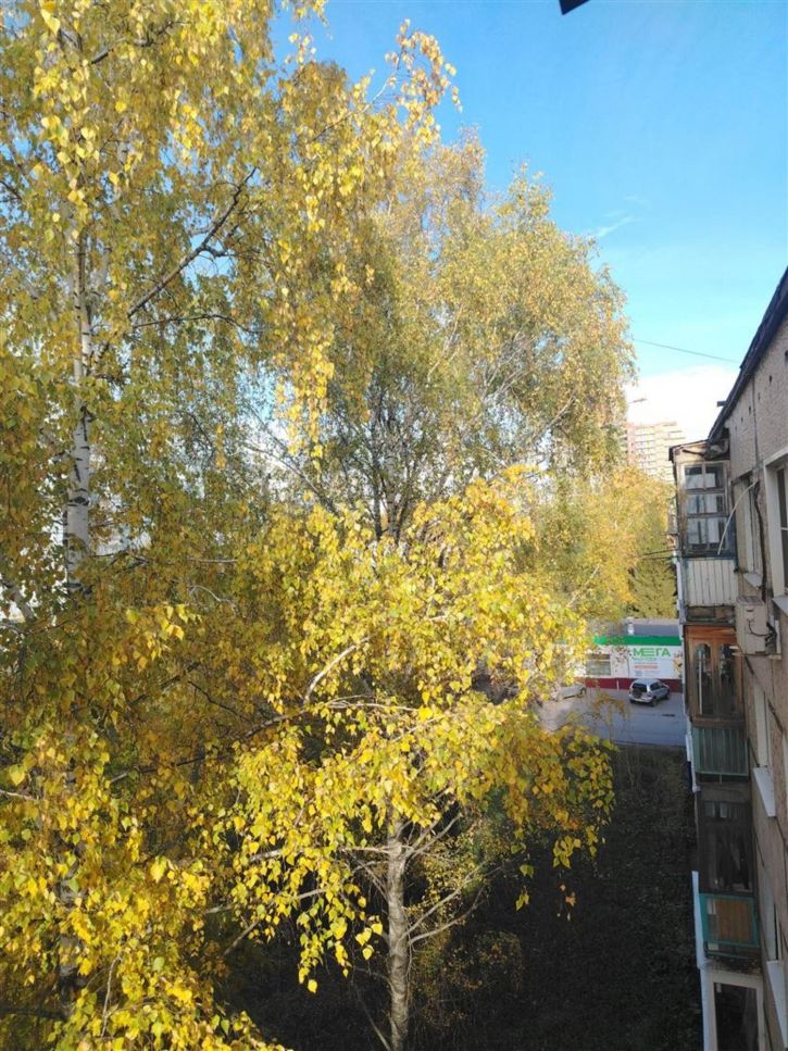 1-комн квартира ул Карпинского, д. 46