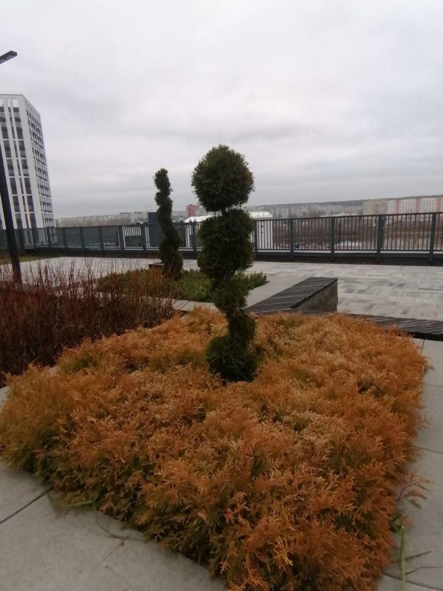 Купить квартиру за 6 600 000 рублей на 65-летия Победы ул, 26