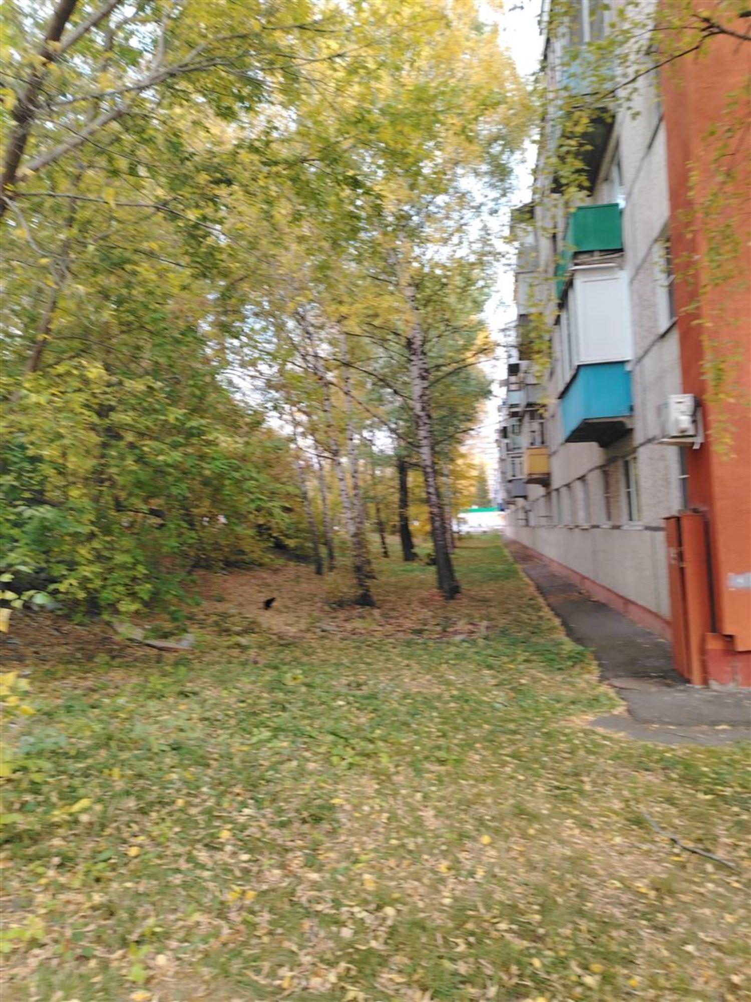 Купить квартиру за 2 800 000 рублей на ул Карпинского, д. 46