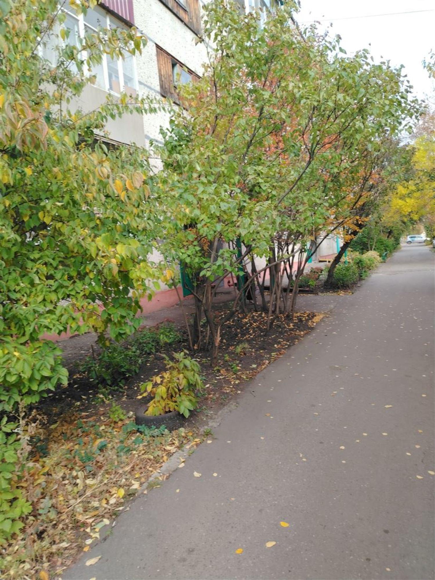 Купить квартиру за 2 700 000 рублей на ул Карпинского, д. 46