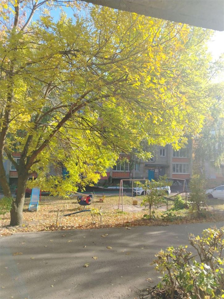 1-комн квартира ул Карпинского, д. 46