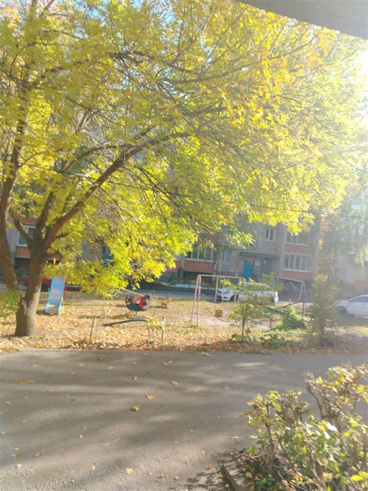 1-комн квартира ул Карпинского, д. 46