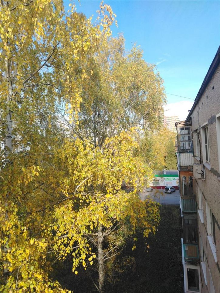 1-комн квартира ул Карпинского, д. 46