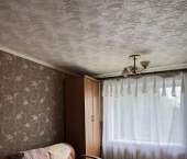 комната 60 кв м пр-д Виноградный 2-й, 28