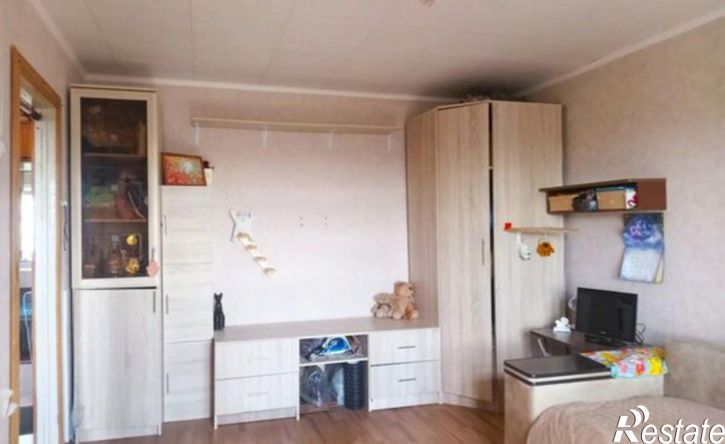 1-комн квартира ул Пушанина, 22,  д. 22