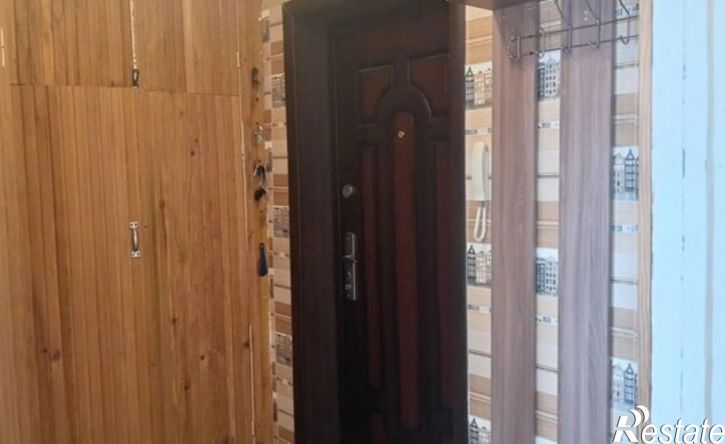 1-комн квартира ул Пушанина, 22,  д. 22