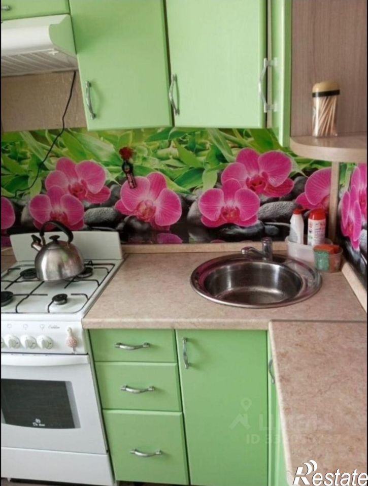 1-комн квартира ул Минская, 24,  д. 24