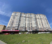 1-комн, 38кв м, этаж 10/16 ул Ладожская, 110