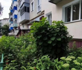 2-комн, 42кв м, этаж 5/5 ул Ворошилова, 22