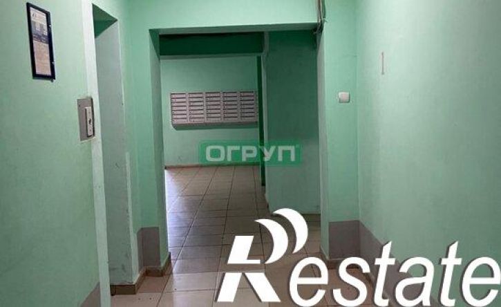 1-комн квартира улица Пушанина, 54,  д. 54